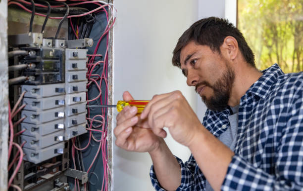 Best Electrical Upgrades for Homes  in Rome City, IN